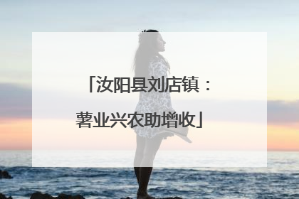 汝阳县刘店镇：薯业兴农助增收