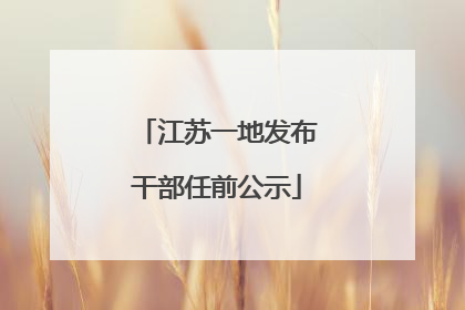 江苏一地发布干部任前公示