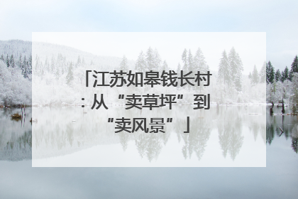 江苏如皋钱长村：从“卖草坪”到“卖风景”