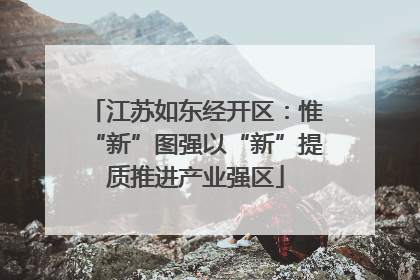 江苏如东经开区：惟“新”图强以“新”提质推进产业强区