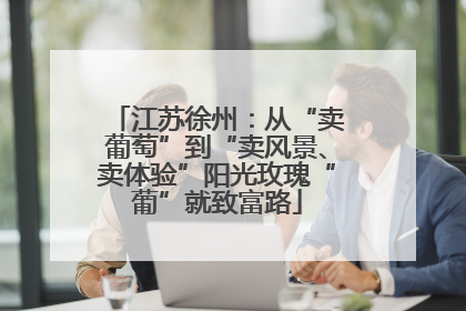 江苏徐州：从“卖葡萄”到“卖风景、卖体验”阳光玫瑰“葡”就致富路