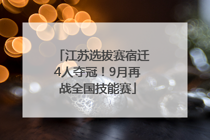 江苏选拔赛宿迁4人夺冠！9月再战全国技能赛