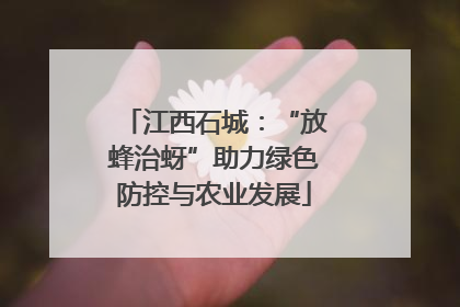 江西石城：“放蜂治蚜”助力绿色防控与农业发展