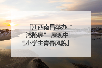 江西南昌举办“鸿鹄展” 展现中小学生青春风貌