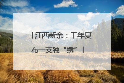 江西新余：千年夏布一支独“绣”