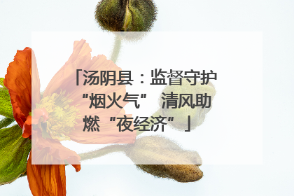 汤阴县：监督守护“烟火气” 清风助燃“夜经济”