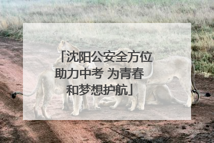 沈阳公安全方位助力中考 为青春和梦想护航