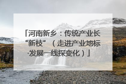 河南新乡：传统产业长“新枝”（走进产业地标·发展一线探变化）