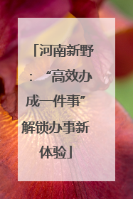 河南新野：“高效办成一件事”解锁办事新体验