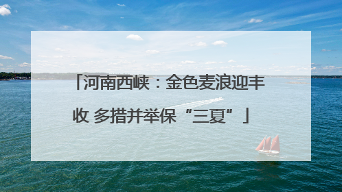 河南西峡：金色麦浪迎丰收 多措并举保“三夏”