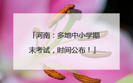 河南：多地中小学期末考试，时间公布！