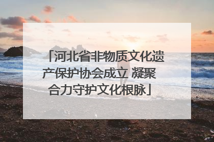 河北省非物质文化遗产保护协会成立 凝聚合力守护文化根脉