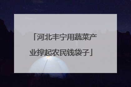 河北丰宁用蔬菜产业撑起农民钱袋子