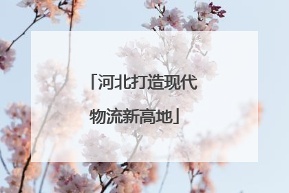 河北打造现代物流新高地