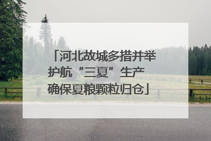 河北故城多措并举护航“三夏”生产 确保夏粮颗粒归仓