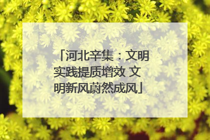 河北辛集：文明实践提质增效 文明新风蔚然成风