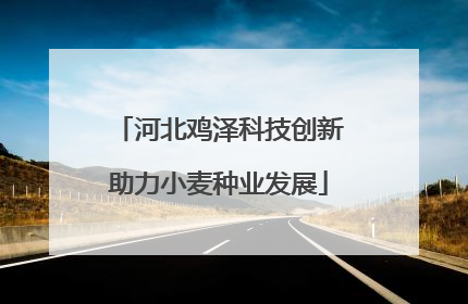 河北鸡泽科技创新助力小麦种业发展