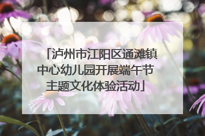 泸州市江阳区通滩镇中心幼儿园开展端午节主题文化体验活动