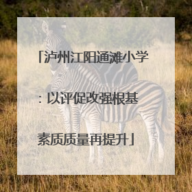 泸州江阳通滩小学：以评促改强根基 素质质量再提升