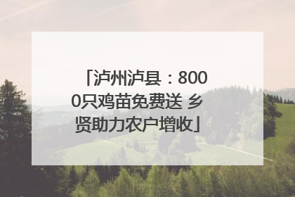 泸州泸县：8000只鸡苗免费送 乡贤助力农户增收