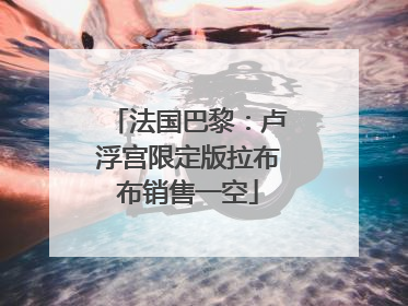 法国巴黎：卢浮宫限定版拉布布销售一空