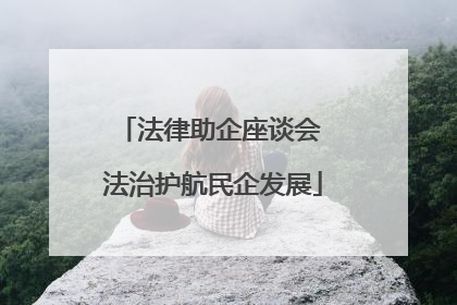 法律助企座谈会 法治护航民企发展