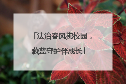 法治春风拂校园，藏蓝守护伴成长