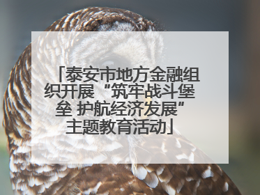 泰安市地方金融组织开展“筑牢战斗堡垒 护航经济发展”主题教育活动