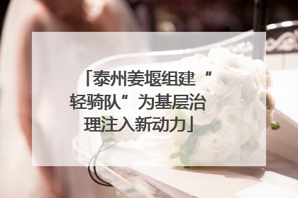 泰州姜堰组建“轻骑队”为基层治理注入新动力