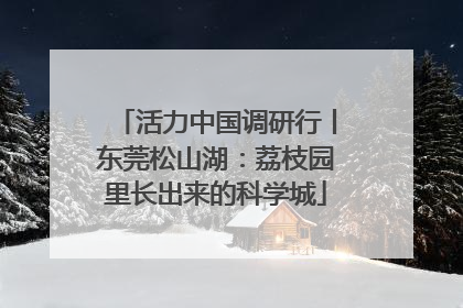 活力中国调研行丨东莞松山湖：荔枝园里长出来的科学城