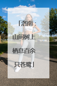 洛南：山间树上栖息百余只苍鹭