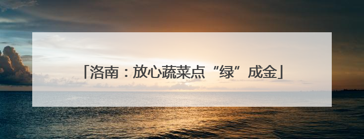 洛南：放心蔬菜点“绿”成金