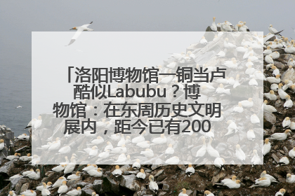 洛阳博物馆一铜当卢酷似Labubu？博物馆：在东周历史文明展内，距今已有2000多年历史