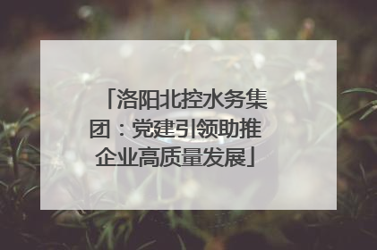 洛阳北控水务集团：党建引领助推企业高质量发展