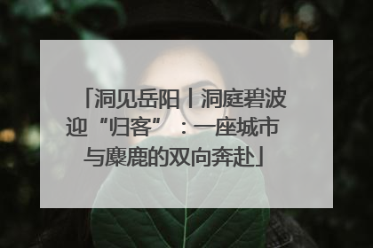 洞见岳阳丨洞庭碧波迎“归客”：一座城市与麋鹿的双向奔赴