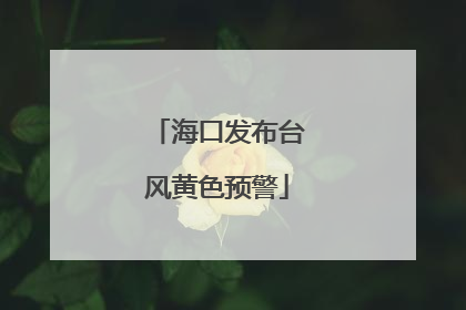 海口发布台风黄色预警