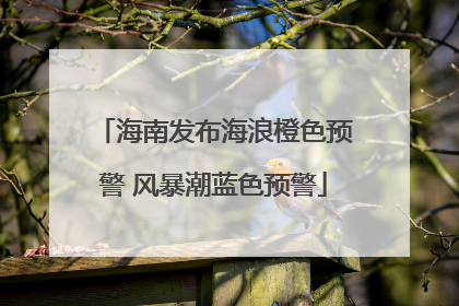 海南发布海浪橙色预警 风暴潮蓝色预警