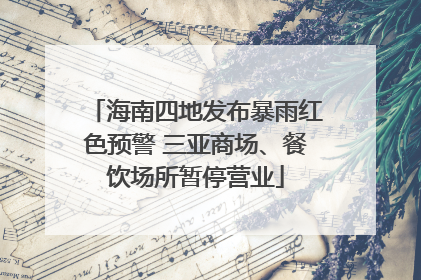海南四地发布暴雨红色预警 三亚商场、餐饮场所暂停营业