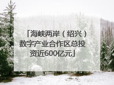 海峡两岸（绍兴）数字产业合作区总投资近600亿元