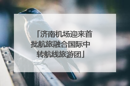 济南机场迎来首批航旅融合国际中转航线旅游团