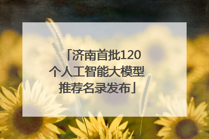 济南首批120个人工智能大模型推荐名录发布