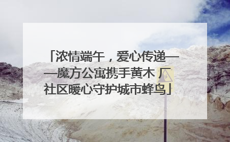 浓情端午，爱心传递——魔方公寓携手黄木 厂社区暖心守护城市蜂鸟