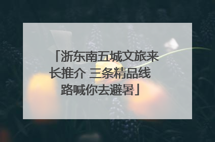 浙东南五城文旅来长推介 三条精品线路喊你去避暑