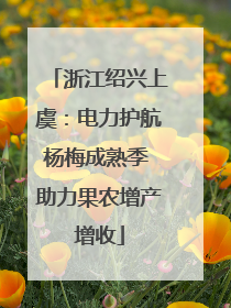 浙江绍兴上虞：电力护航杨梅成熟季 助力果农增产增收