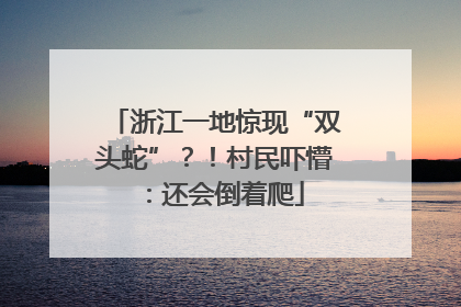 浙江一地惊现“双头蛇”？！村民吓懵：还会倒着爬