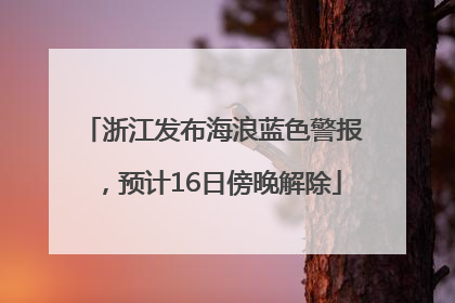 浙江发布海浪蓝色警报，预计16日傍晚解除