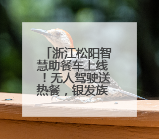 浙江松阳智慧助餐车上线！无人驾驶送热餐，银发族享舌尖上的科技关怀
