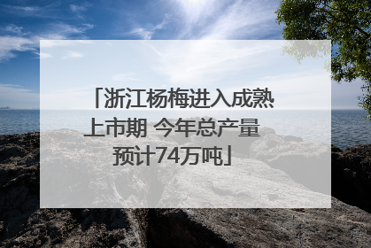 浙江杨梅进入成熟上市期 今年总产量预计74万吨