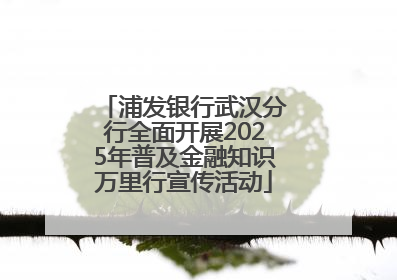 浦发银行武汉分行全面开展2025年普及金融知识万里行宣传活动