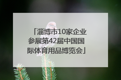 淄博市10家企业参展第42届中国国际体育用品博览会